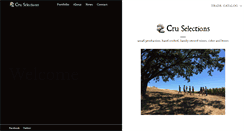 Desktop Screenshot of cruselections.com